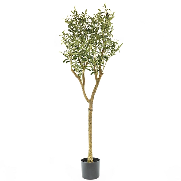 candlelight-green-150cm-olive-tree-artificial-plant-in-black-mediterranean-plastic-pot5010795701087_01c_bq.webp